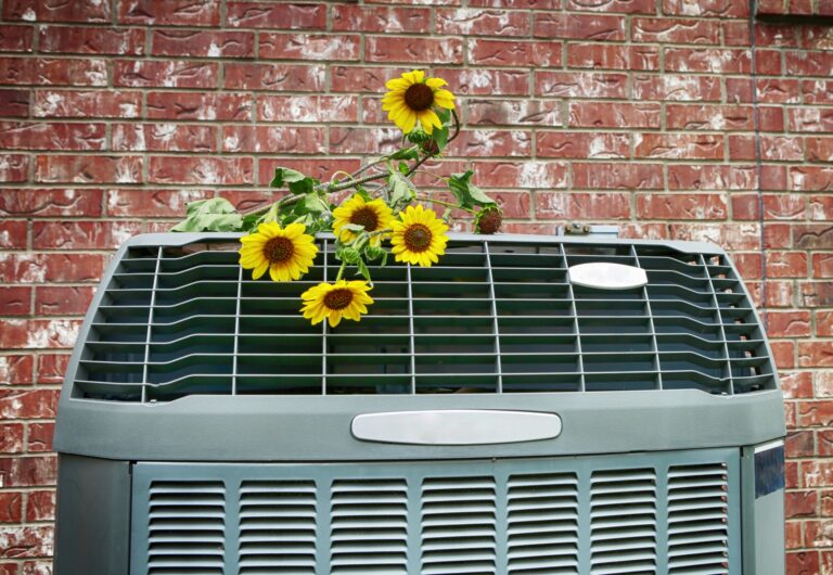 sunflowers on top of ac unit